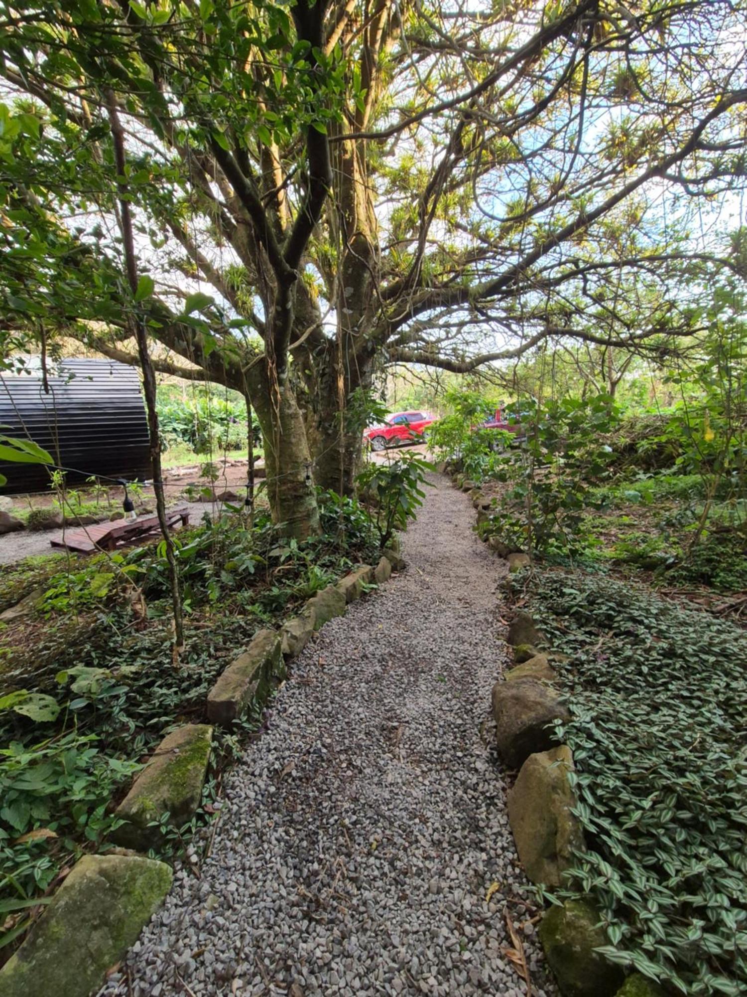 Glamping Monteverde 외부 사진